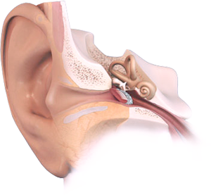 Заболевания уха и сосцевидного отростка