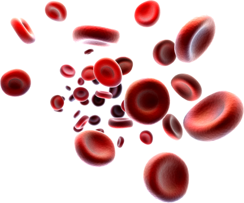 Заболеваний крови, кроветворных органов и отдельные нарушения, вовлекающие иммунный механизм