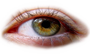 Заболевания глаза и его придаточного аппарата